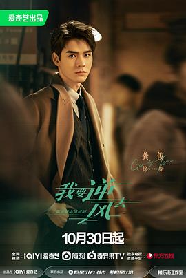 小精灵字幕软件下载